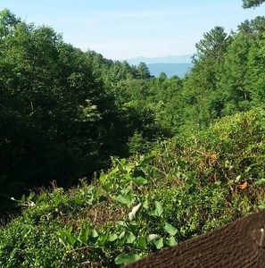 Meet your Posher, June